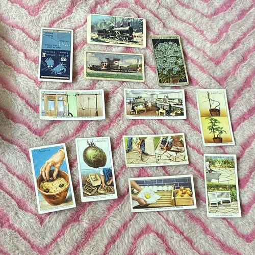 Cigarette card collection - cigarette,