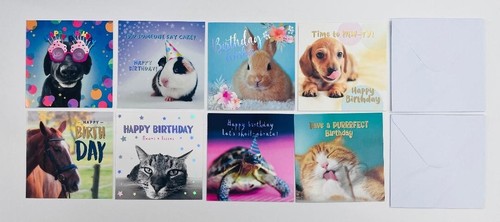 Pack mixed assorted pet - assorted,