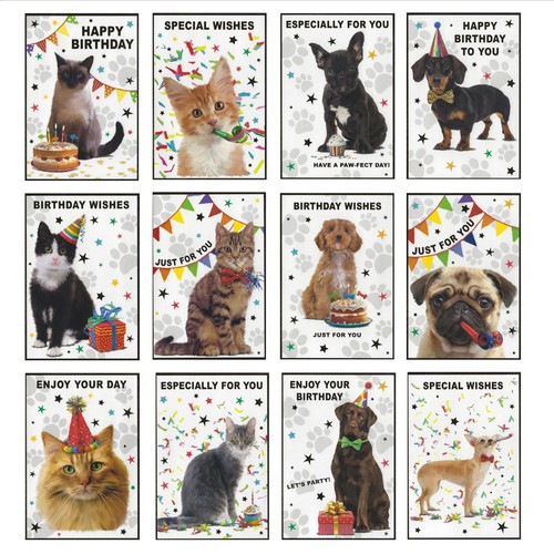 Pack animals birthday - of,