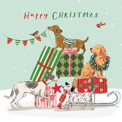 Charity christmas card pack - , of